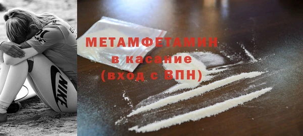 гидра Покачи
